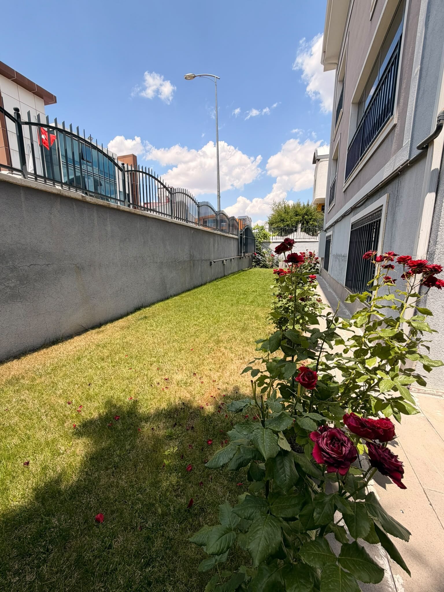 Çankaya Angora Bulvarı Cepheli Satılık Müstakil Villa, Bahçe